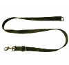 dog leash