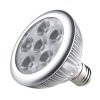 LED PAR30 6W