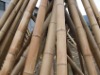 Bamboo Stake