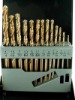 13pc twist drill bit