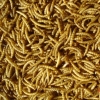 dried mealworms