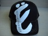 cap/sports cap/mesh cap/baseball cap/2010 fashion cap