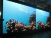 6mm Indoor LED Screen