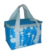 cooler bag