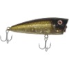 Fishing Lure