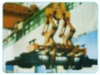 roll lifting device