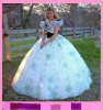 2010 new arrival Quinceanera dress BG0075