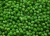 IQF green pea