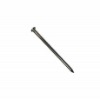 Common Round Nail