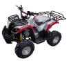 110cc ATV, new model 2008