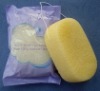 bath sponge