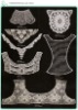 chemical  lace collar(neck motifs)