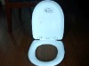 Toilet seat mould