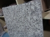 China Luna Pearl granite