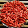 Dried goji berries Crop 2012