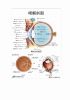 MF0212 Ophthalmonogy anatomical chart