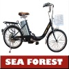 steel lead acied models E-bike