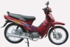 PY110/motorcycle