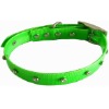 Designer Dog Collar, Dog Collars