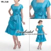 fashion evening dress WL258,custom make