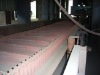 Raised edge conveyor belt