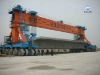 Rubber Tyre Gantry Crane