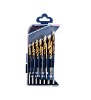 13pc twist drill bit