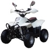 110CC ATV