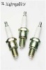 Car spark plug