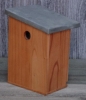 Bird house