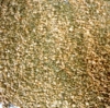 dried daphnia