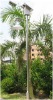 Sell Solar Garden Light/solar street light/solar road light/solar street lamp/solar road lamp