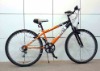 MOUNTAIN BIKE , mtb bicycle , mtb bike