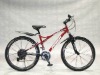 MOUNTAIN BIKE , mountain bicycle ,mtb bike