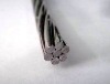 ACSR Aluminum conductor