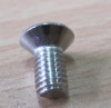 stainless steel screw