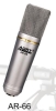 side address recording microphone