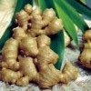 Ginger Extract  -BIO