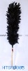 Feather Duster