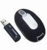 Wireless Mouse