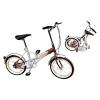 Folding Bicycle