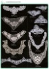 chemical  lace collar(neck motifs)