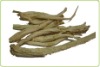 Balloonflower Root Extract