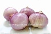 red onion