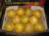 2011 crop pomelo