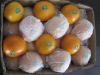 fresh Chinese navel orange