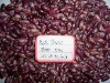 2009 purple speckled kidney beans