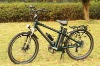 Electric mountain bikes