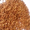 China Roasted Buckwheat 2010 crop