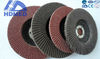 Flap Discs